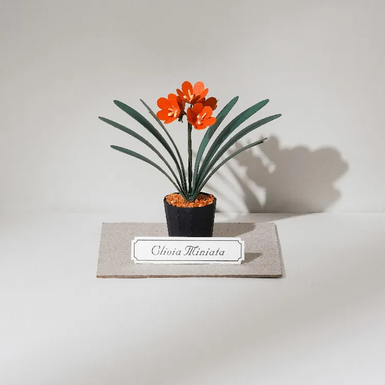 [4] Hot Sale Miniature DIY Kit Forever Green Clivia Miniata Paper Model Craft