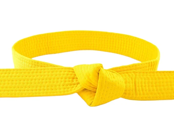 Karate Kickboxing Judo Black Belt Silk Satin MASTER-GRADE