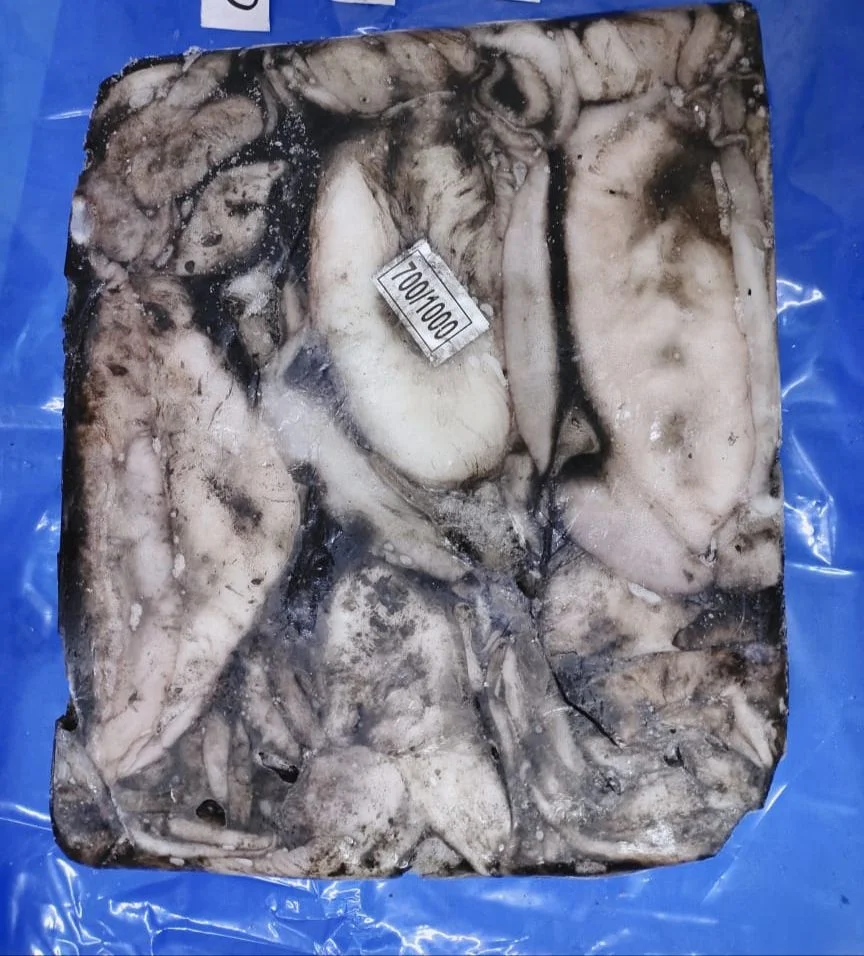 FROZEN WHOLE CUTTLEFISH