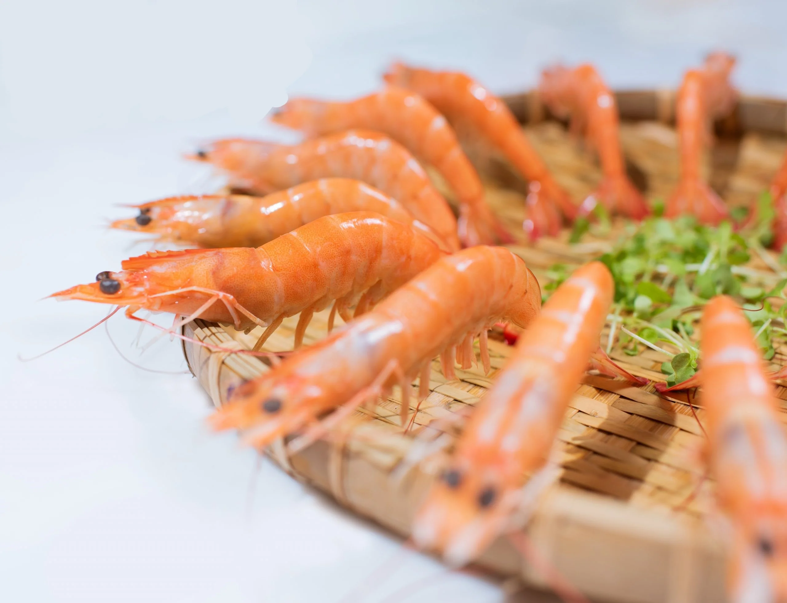 Vannamei Shrimp HOSO Cooked IQF from Vietnam New Product Seafood Frozen Cooked Peeled And Deveined Vannamei Tail on Shrimp
