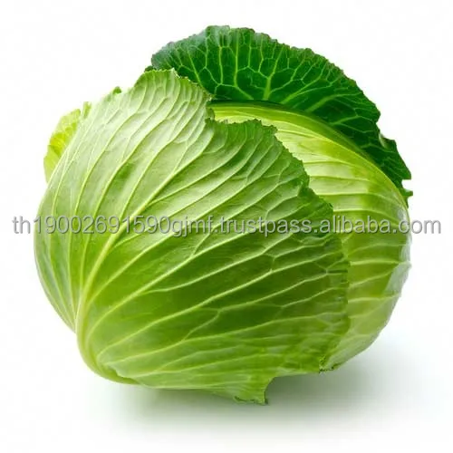 Organic-Green-Cabbage-each.jpg