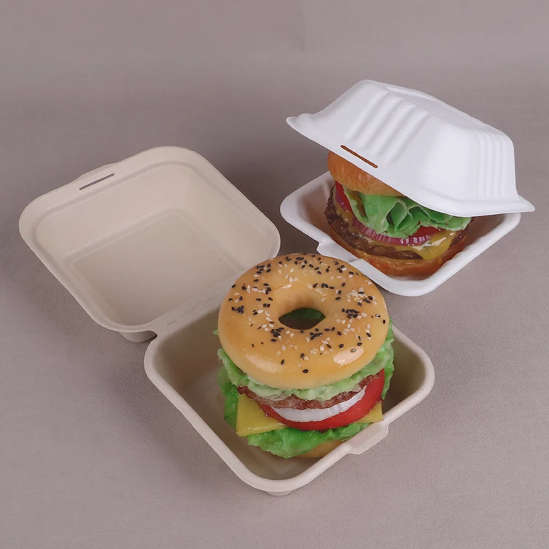 6 inches Biodegradable takeaway take away pizza hamburger burger bento meal fast food packing pulp lunch bagasse sugarcane