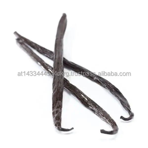 Высококачественные Ванильные бобы мадагаскарского класса А 14-18 см по хорошей цене