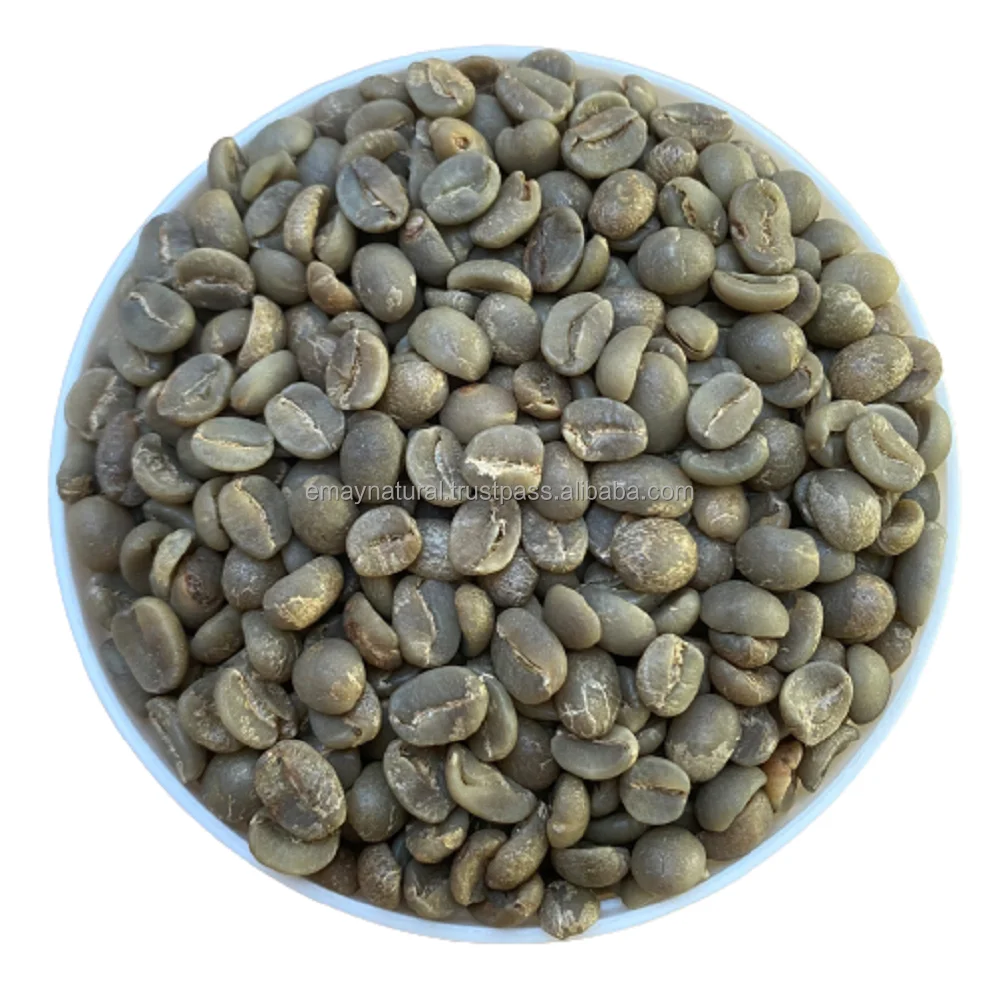 New Choice  Whole Bean Coffee Arabica -Full washed S18 Grade 1 For Sale