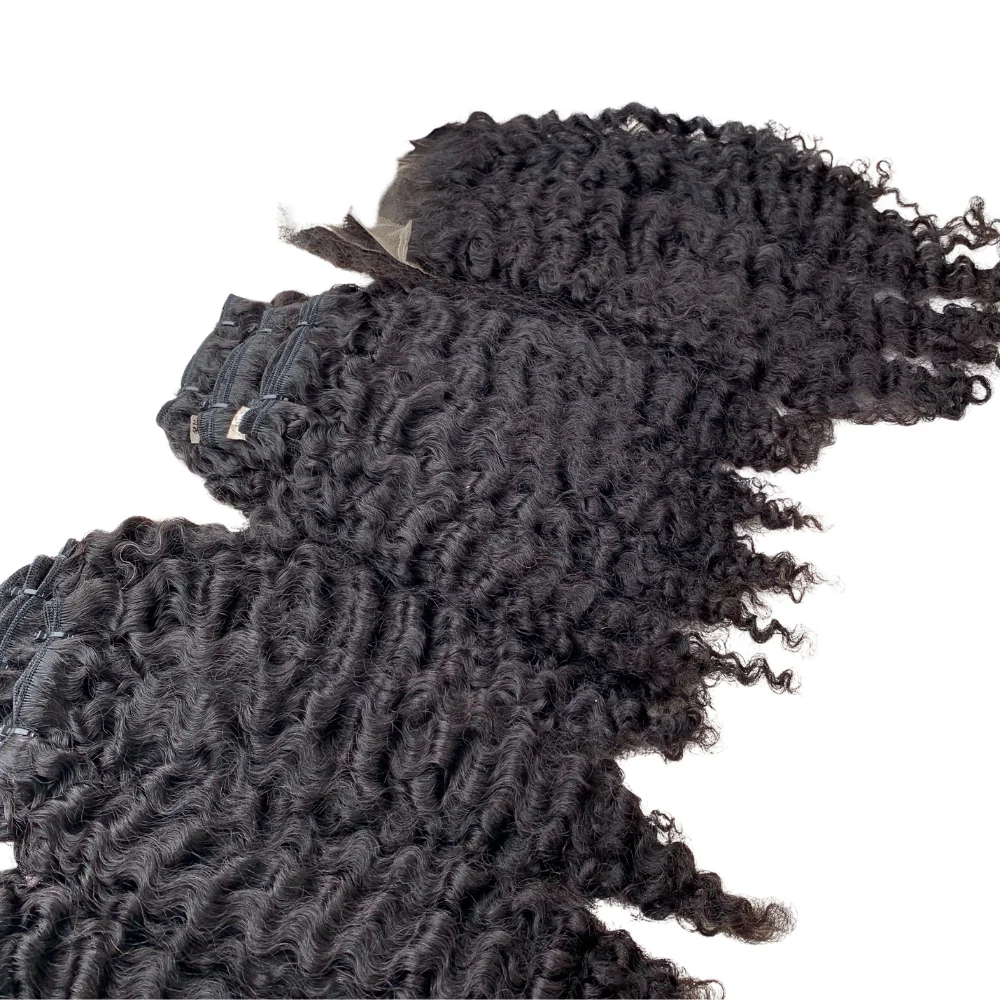 Raw Vietnamese Burmese Hair Unprocessed Virgin Burmese Curly Hair Vendors Vietnamese Cuticle Aligned Raw Human Hair Soft