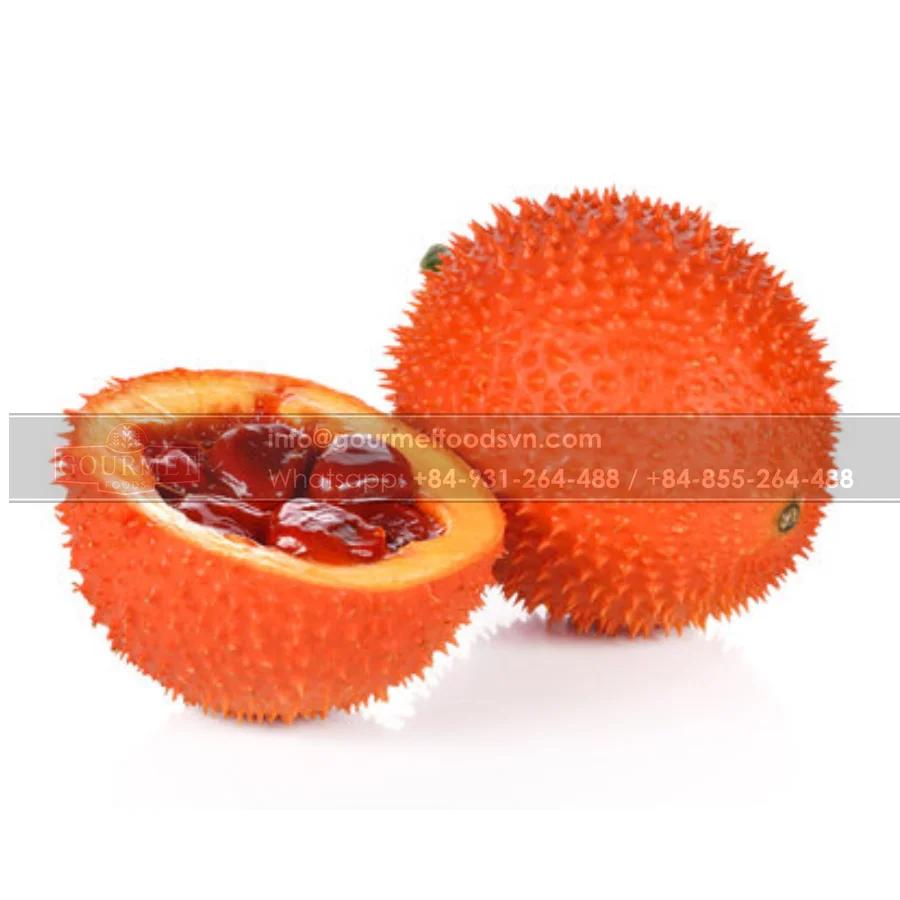 Fresh Gac Fruit From Viet Nam Help To Improve Human Vision As Well As Prevent Cataracts And Other Vision Problems