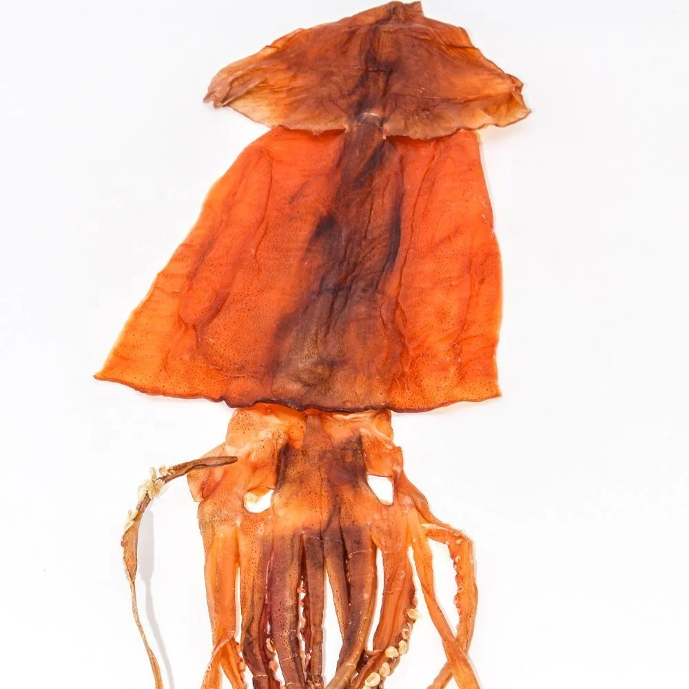 Good quality frozen loligo squid with roe for export