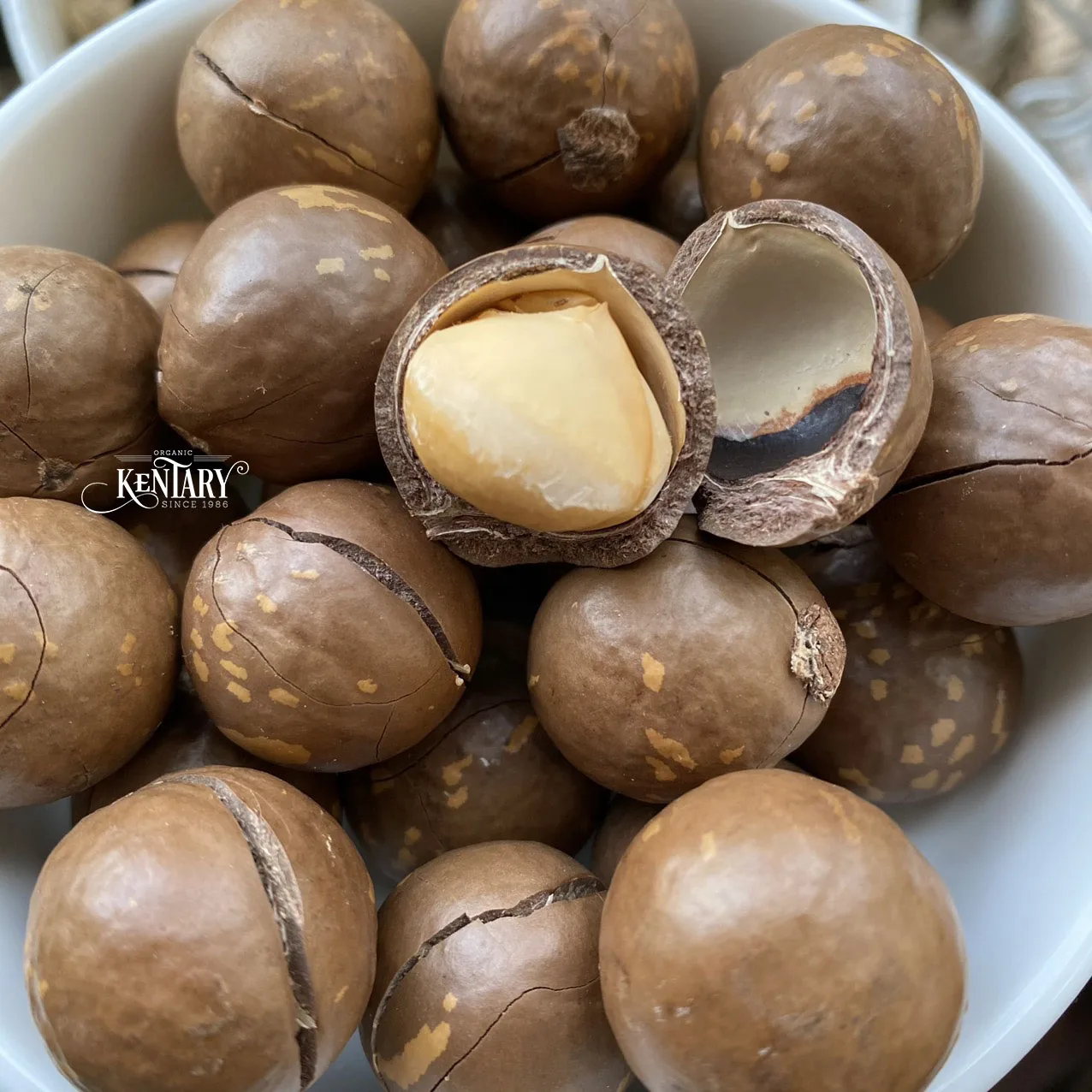 Guaranteed Quality Macadamia Nut Cracker, 100% Pure Non-GMO, Best Price, Bulk, Vietnam, Fresh Cashews