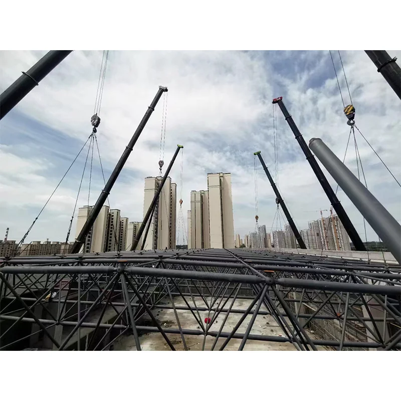 Worldwide Industrial Design Style Wide Span Steel Frame Grid for Sports Hall Gymnasium High-Aesthetics Metal Buildings