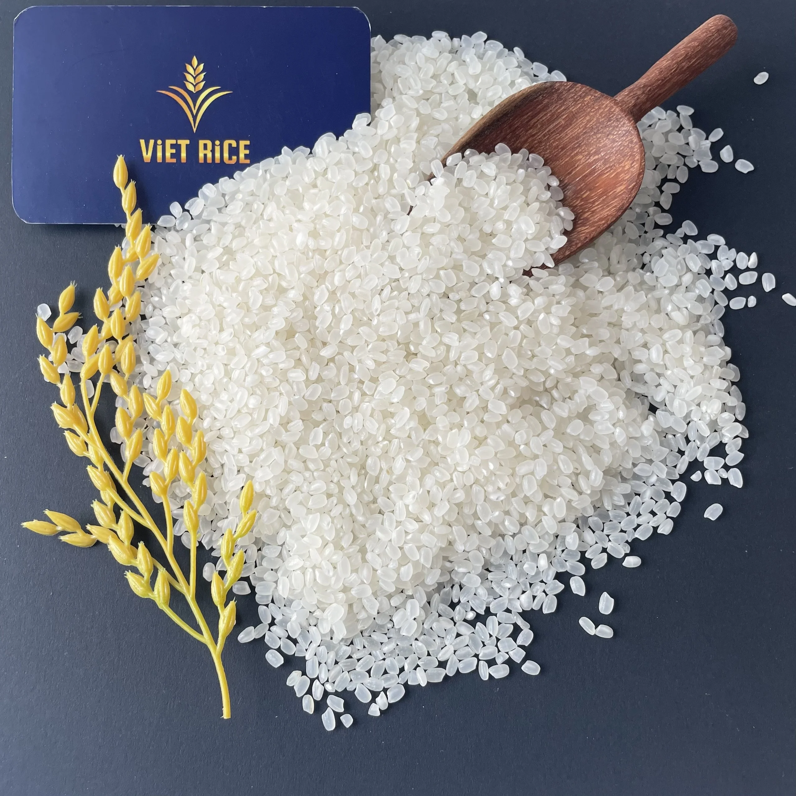 Short grain white rice - JAPONICA RICE 5% broken Need to buy rice in bulk Please contact us to get the best quote
