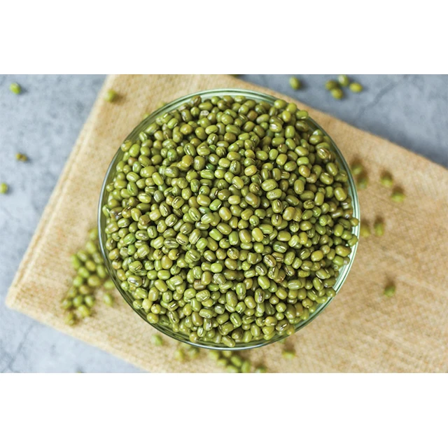 Wholesale Price Green Beans Bigger Size Cheap Top Quality Dried Green Mung Beans Made In Vietnam Best Price
