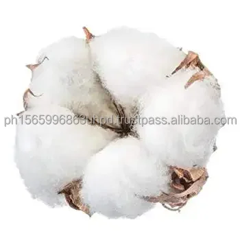 raw cotton  (2).jpg