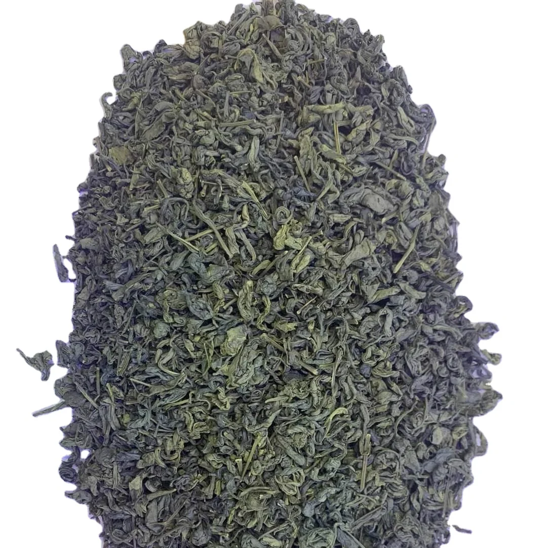 Green tea OP double- fermented specialty Tea Leaf Best