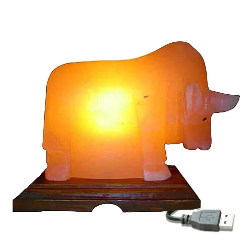 Buy Customized  Shape Mini USB Lamp Himalayan Pink Salt Lamp Premium Quality for Home Decoration OEM