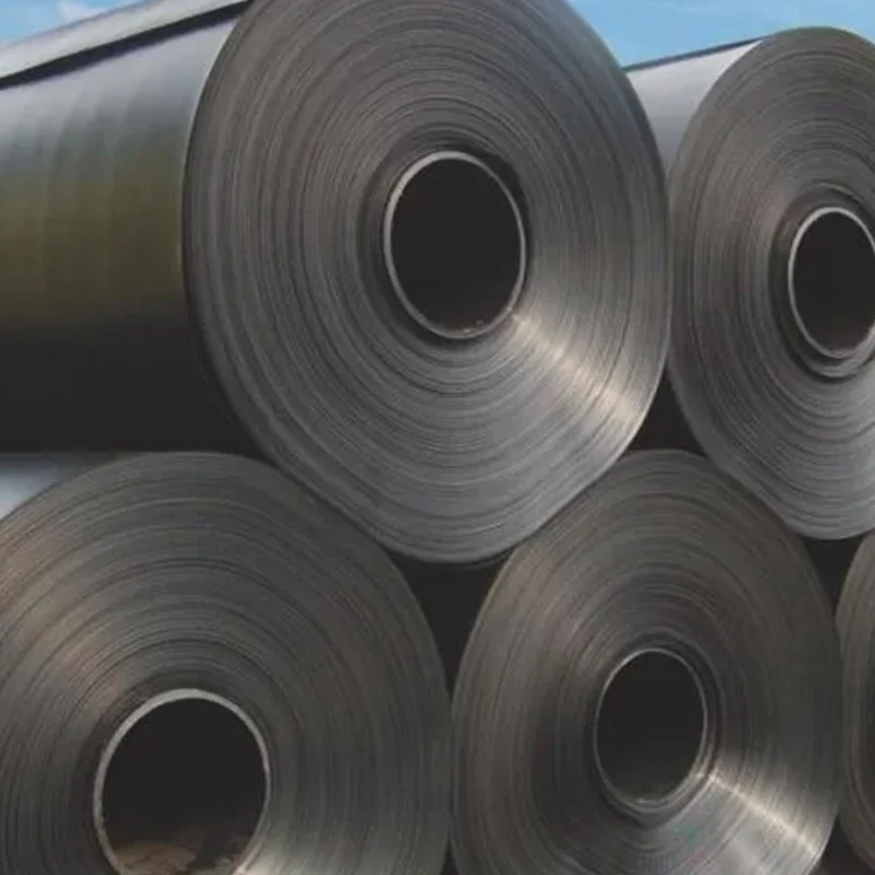 Geomenbrana Mine Tailing Geomembrane in Tanzania Geomembrane HDPE