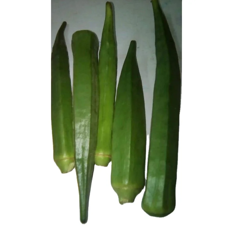 Индийские экспортеры для Okra / Okro для темно-зеленой еды