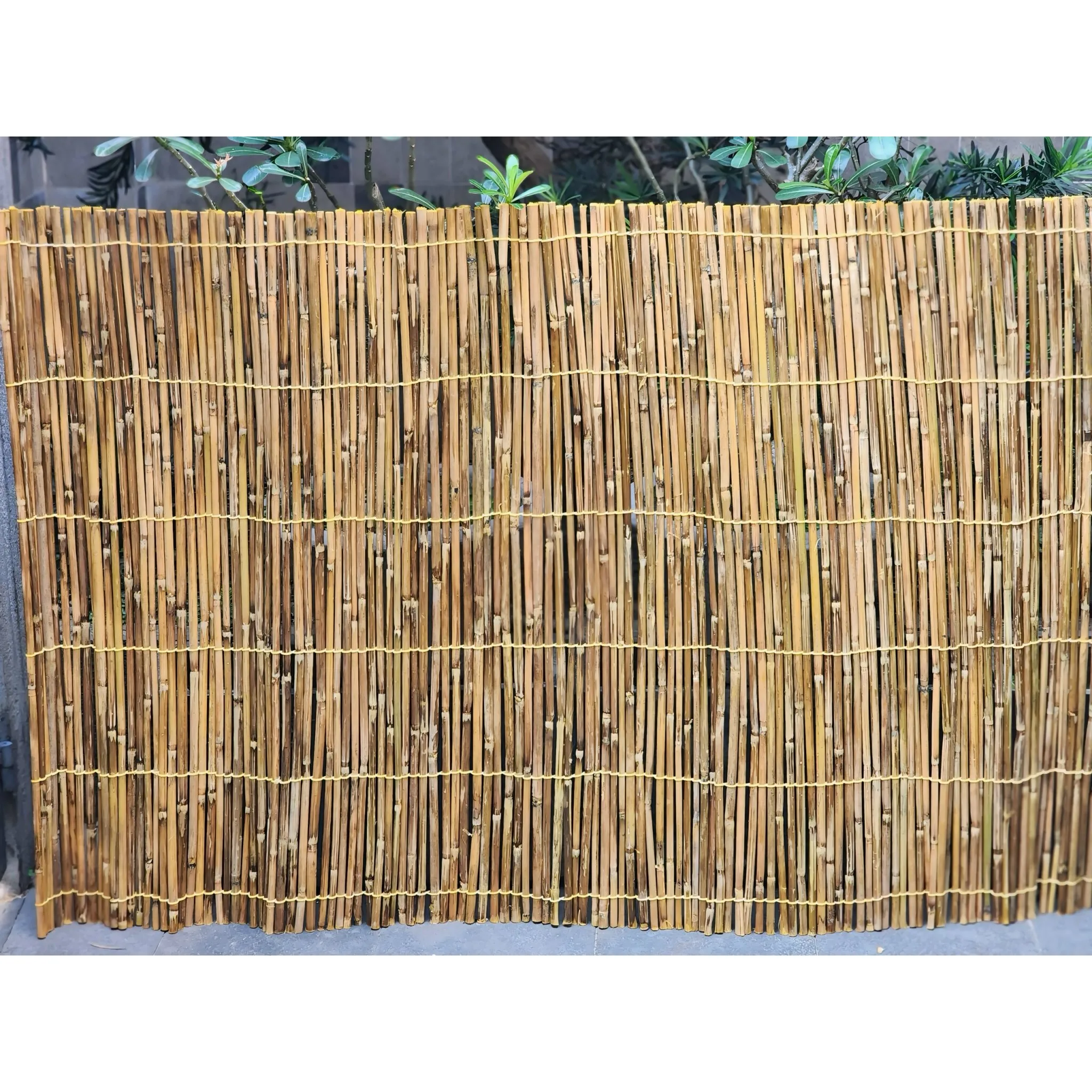 Hot Sale Nature Garden Bamboo Stick for Fence Rolled Bamboo Wood Reed Fence Panels for Sale Bamboo Fence Rolls