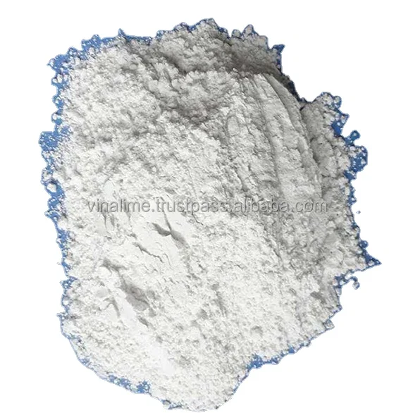 Порошок CaCO3 с покрытием сухой карбонат кальция вьетнамский производитель
