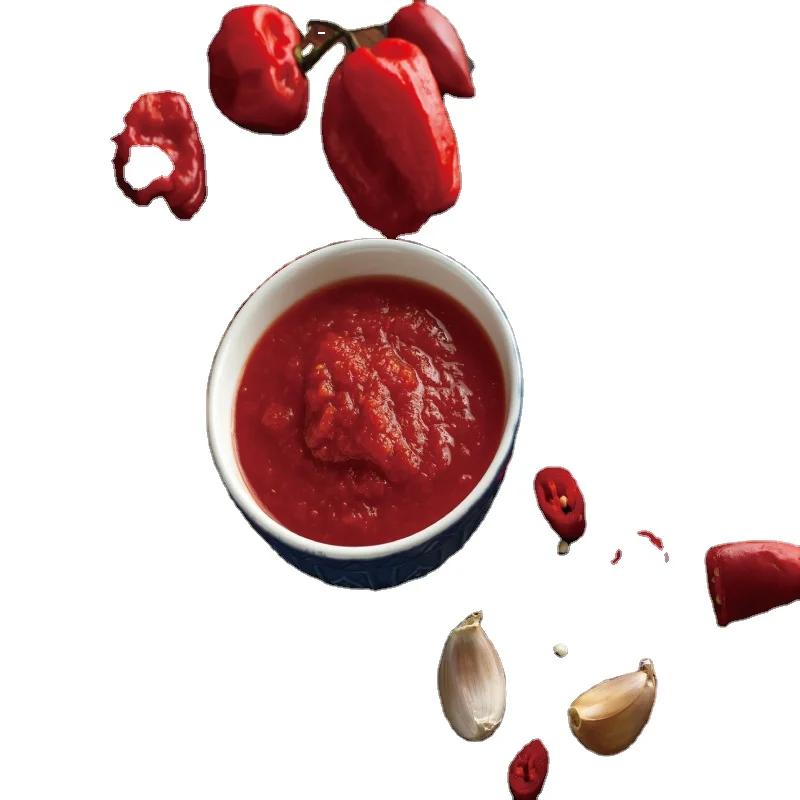 
2021 New product 2 kilogram robertsons spices sauce seasoning good price Spicy sauce spicy soup 