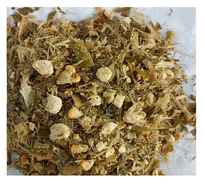 Высококачественный Корм Для кукурузного силоса, высококалорийный корм по низкой цене, изготовленный во Вьетнаме-корм для животных, богатое питание