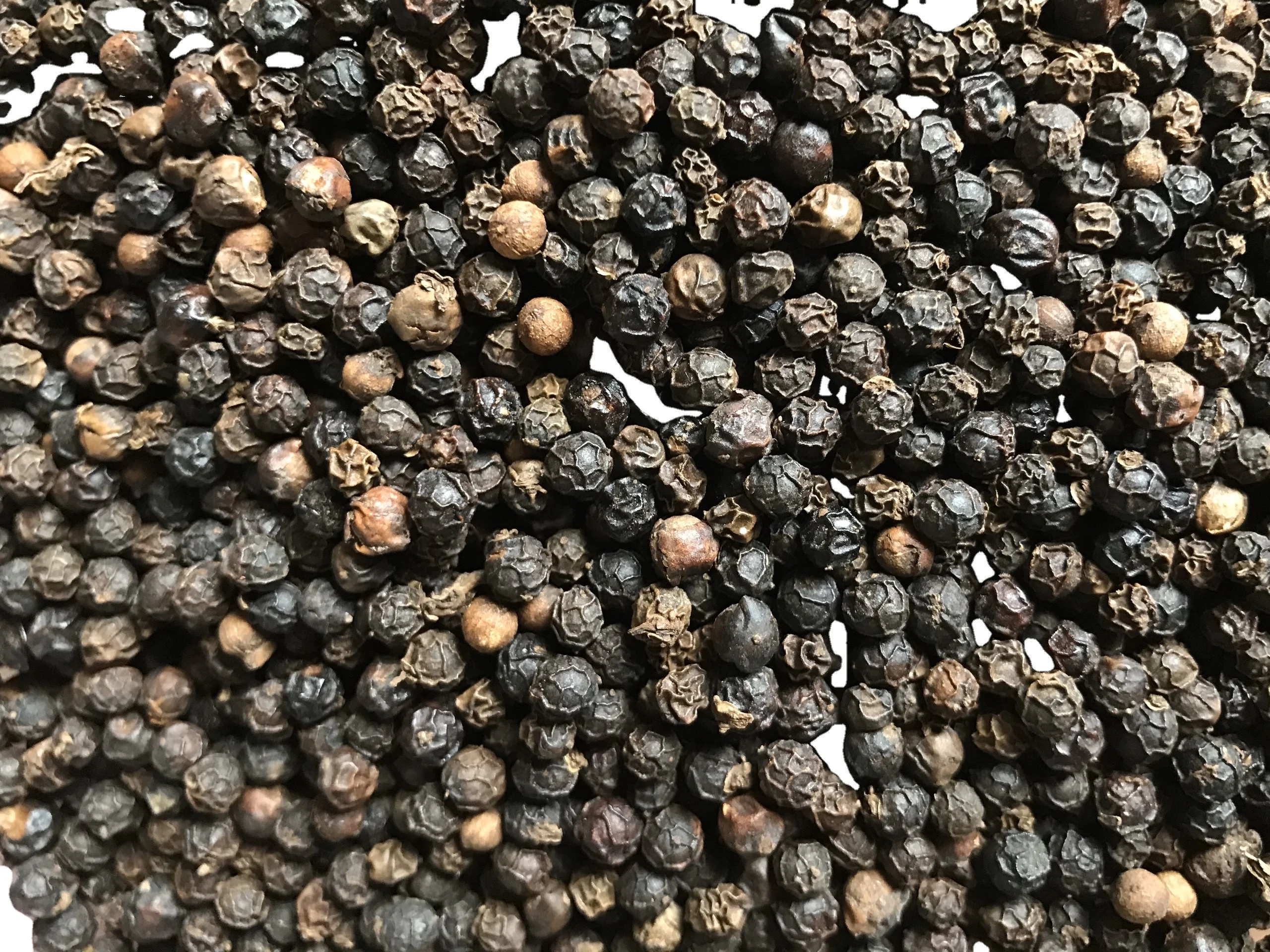 2021 New year 1 kilogram chilli Black pepper from Vietnam with high quality