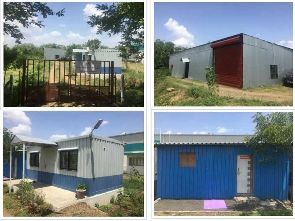 Organic Indian Amino+ Amino Acid insecticide Fertilizer Soya Protien Bio Stimulant Water Soluble Bacterial Protein Peptide 2022