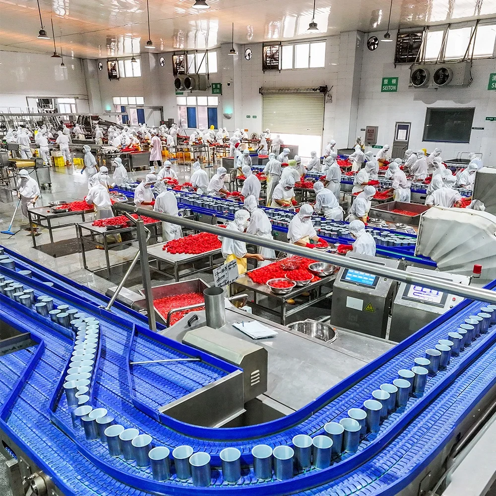 Halal Tomato Paste Canned Food 28-30% Brix Easy Open Tin Tomato Paste For Halal African Muslim Food Cooking