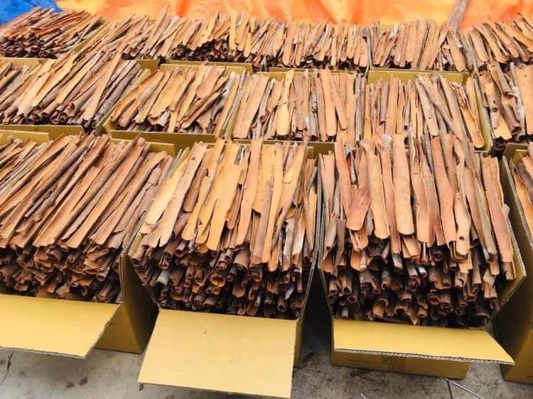 Wholesale cinnamon powder whole cinnamon roll spicies cassia pressed Dried from vietnam