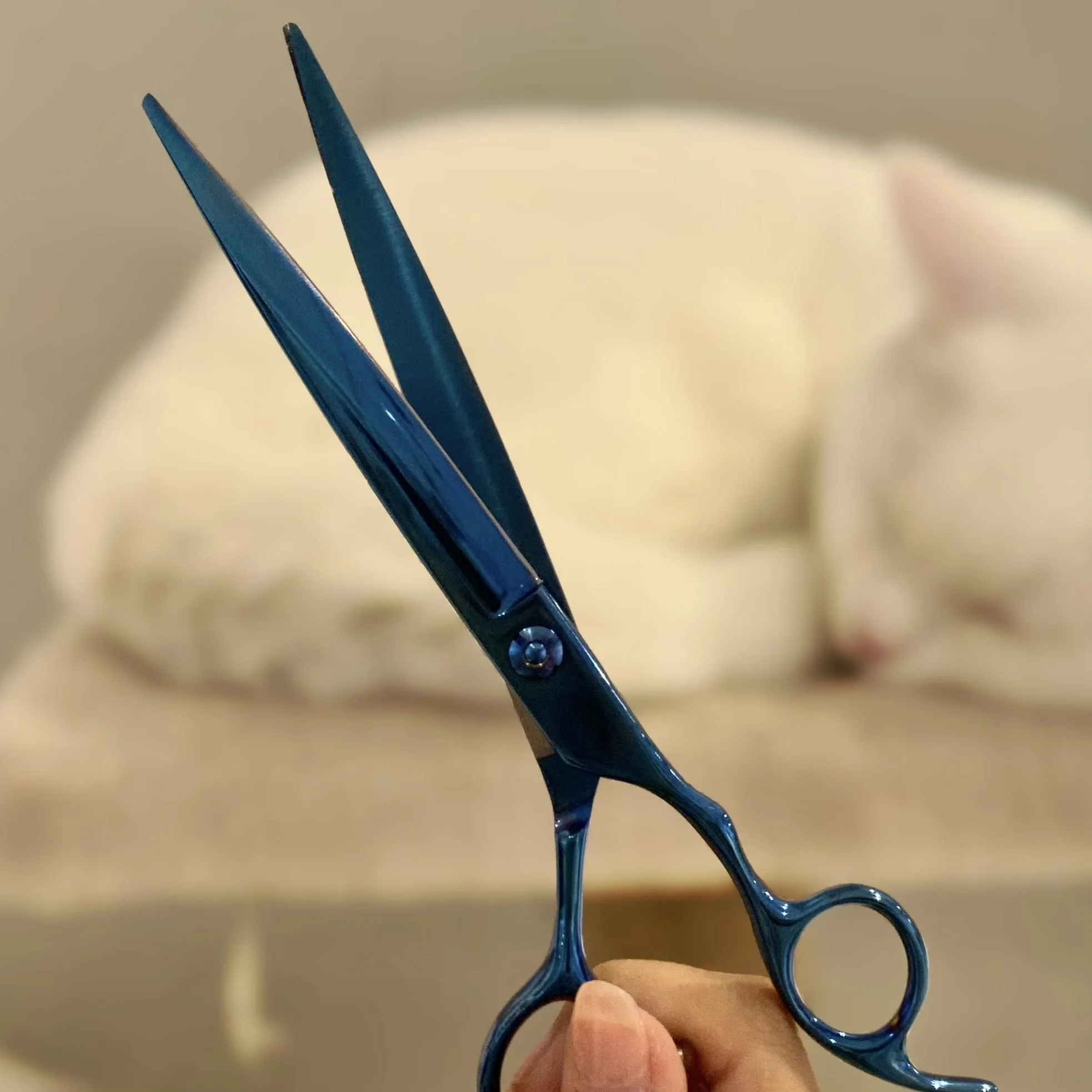 7 Inch Professional Pet Grooming Scissors