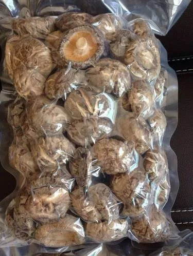 HIGH QUALITY ORGANIC DRIED SHIITAKE MUSHROOM// Ms. Jennie (W/A: +84 358485581)