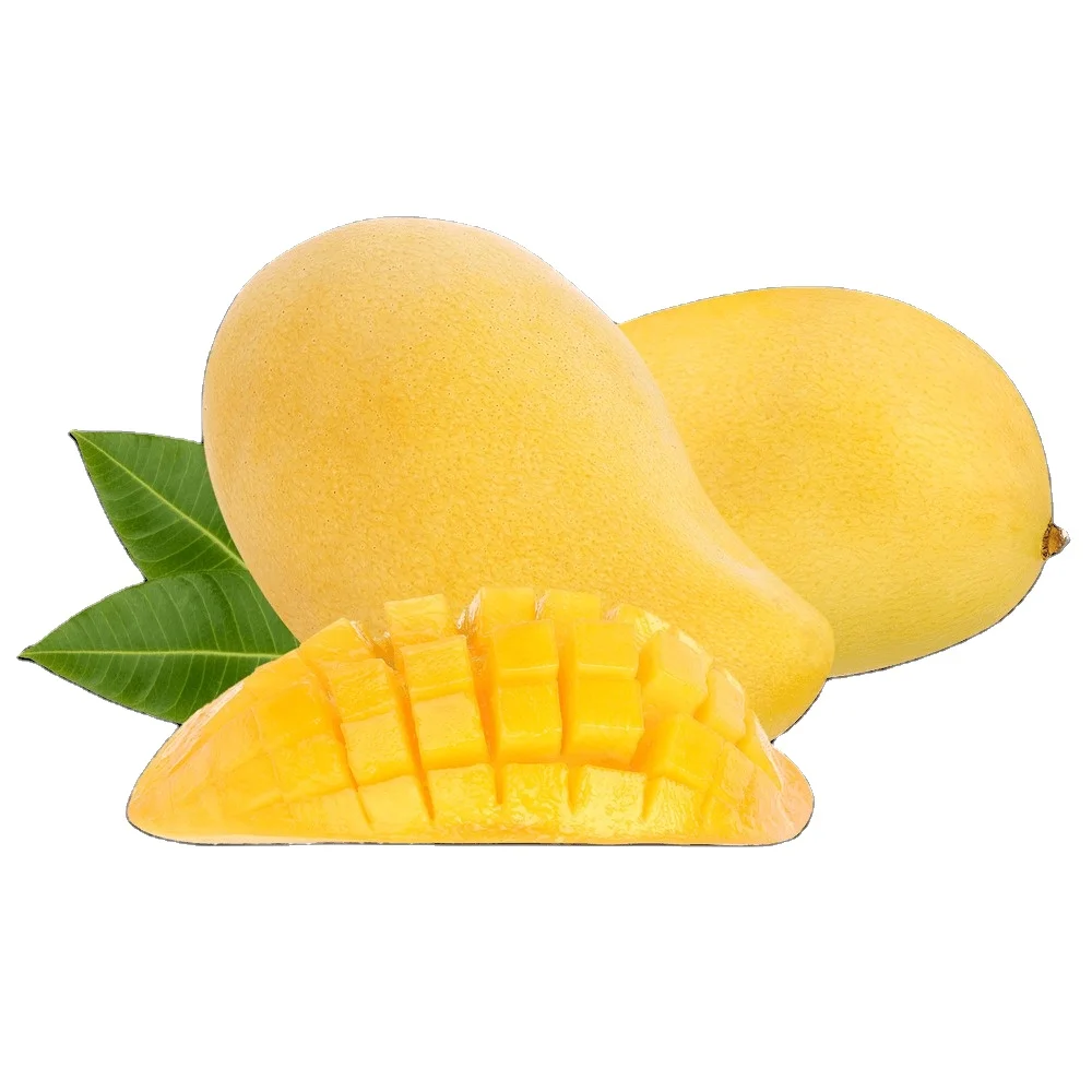 Mango Vietnam Supplies Frozen Mango Clean Healthy Fruit Fresh Fruit Best price Mango Nutrious fruits