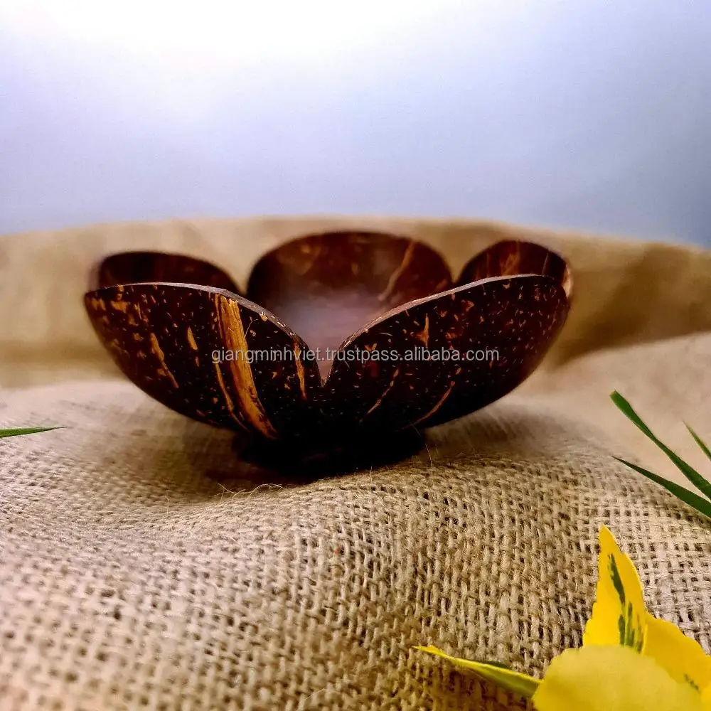 Vietnam GMV New Products Organic Plastic Free Hand Made Coconut Bowl