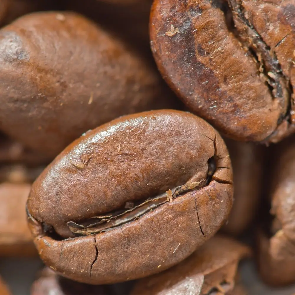 Оптовая продажа сухие высококачественные кофейные зерна Сыпучие Robusta Vienam лучший кофе для напитков готовый