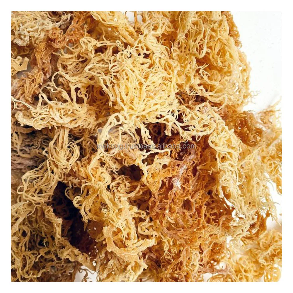 Высококачественный сушеный ирландский мох для перепродажи FBA с бесплатным пользовательским логотипом из Вьетнама