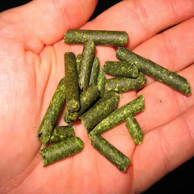 Best Quality Alfalfa Hay Pellets for Sale