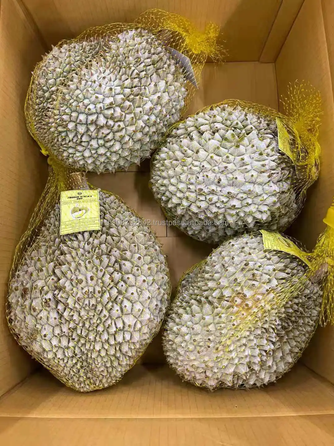 100% Fresh Durian Hygenic Frozen Durian Premier