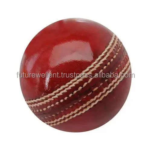 Oem Service Training Play Garden Wholesale Cricket Balls Red Leather Cricket Match Ball Cricket from Pakistan