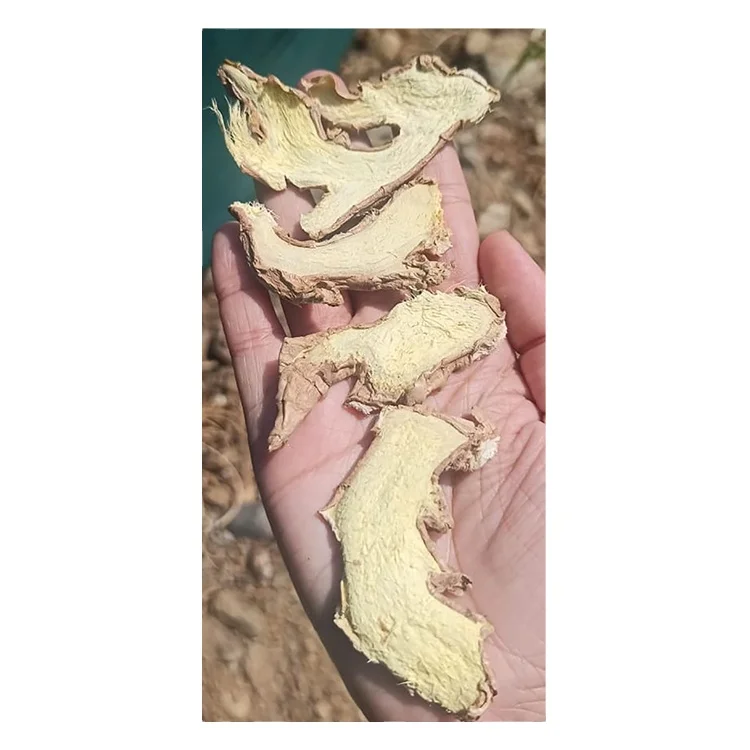 Experience Manufacturer Selling Dried Vegetables Machine Dried Organic Dried Natural Ginger Slices at Bulk Price