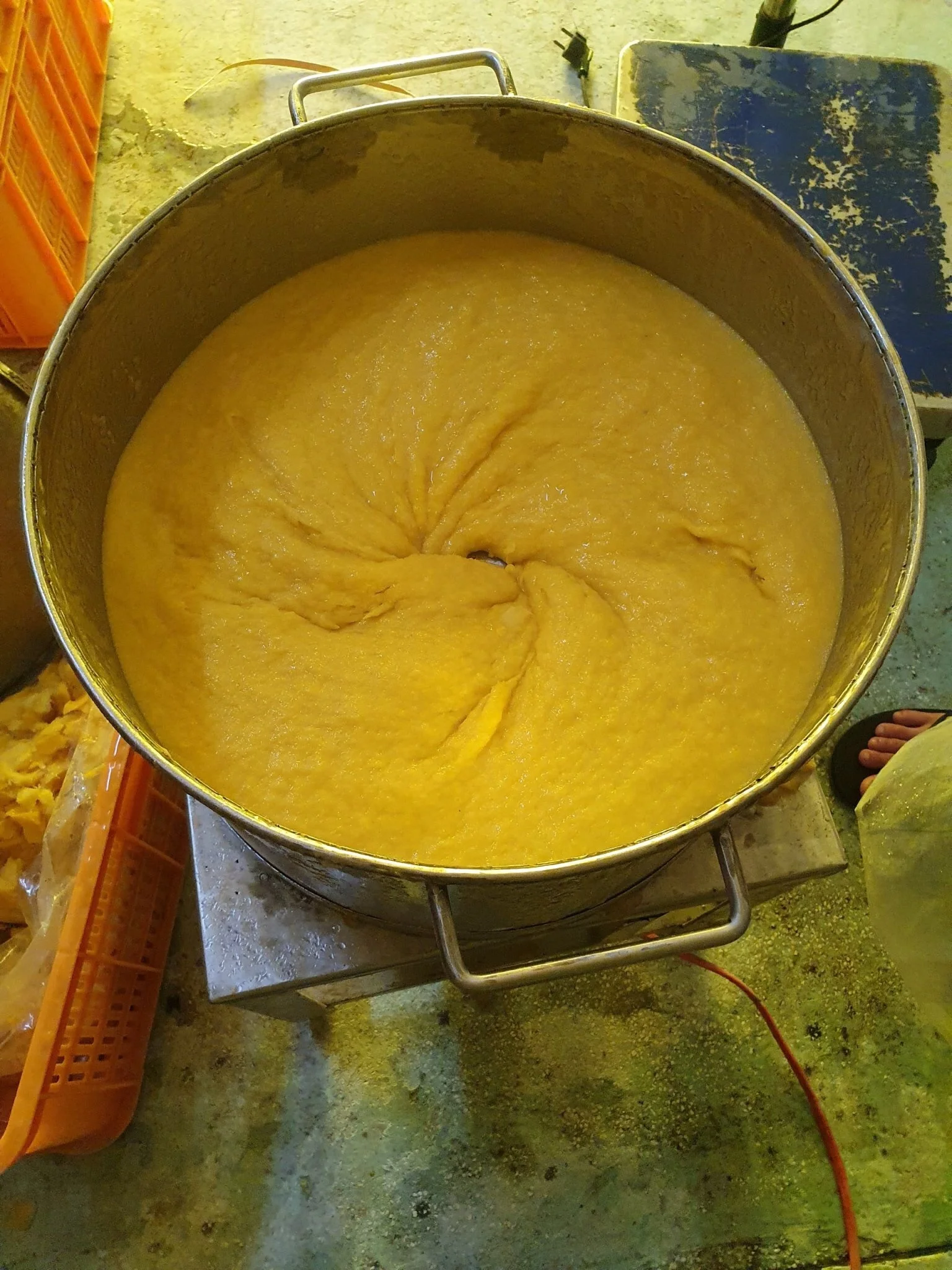 IQF Frozen Mango 100% natural sweet/ Mango Sliced / Mango Puree manufacturer price