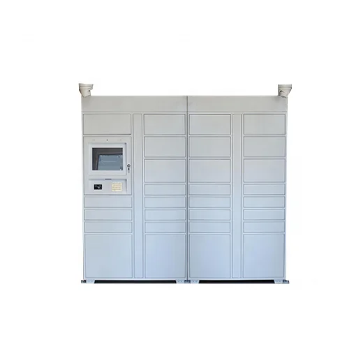 Home delivery  amazon hub  cost-friendly keypad DHL service  quadient parcel lockers made ready to ship with interaction system