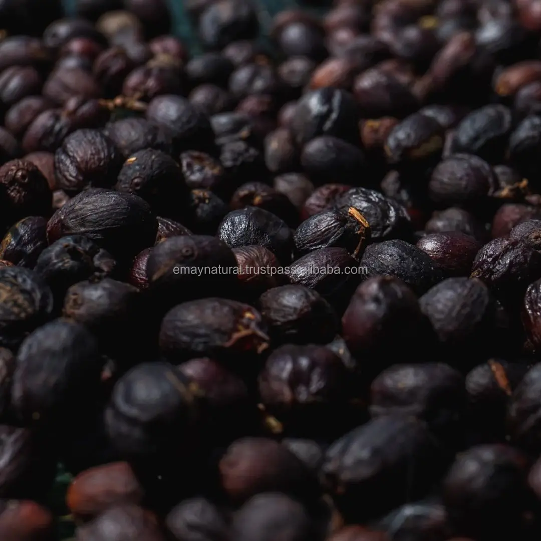 Высококачественный кофейный Арабика из цельных зерен-натуральный процесс SCR18 Класс 1 - Whatsapp + 84789818828