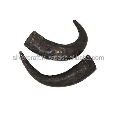 Top Dog Chews 3 Pack Natural Beef Taste Buffalo Horn High Protein Best Quality Lamb Horn from India Factory Packaged in Bag