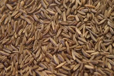 Bulk Caraway Essential Oil Wholesale - Pure & Natural from India - Exporter and Supplier Top Quality Manufacturer for Cosmetic