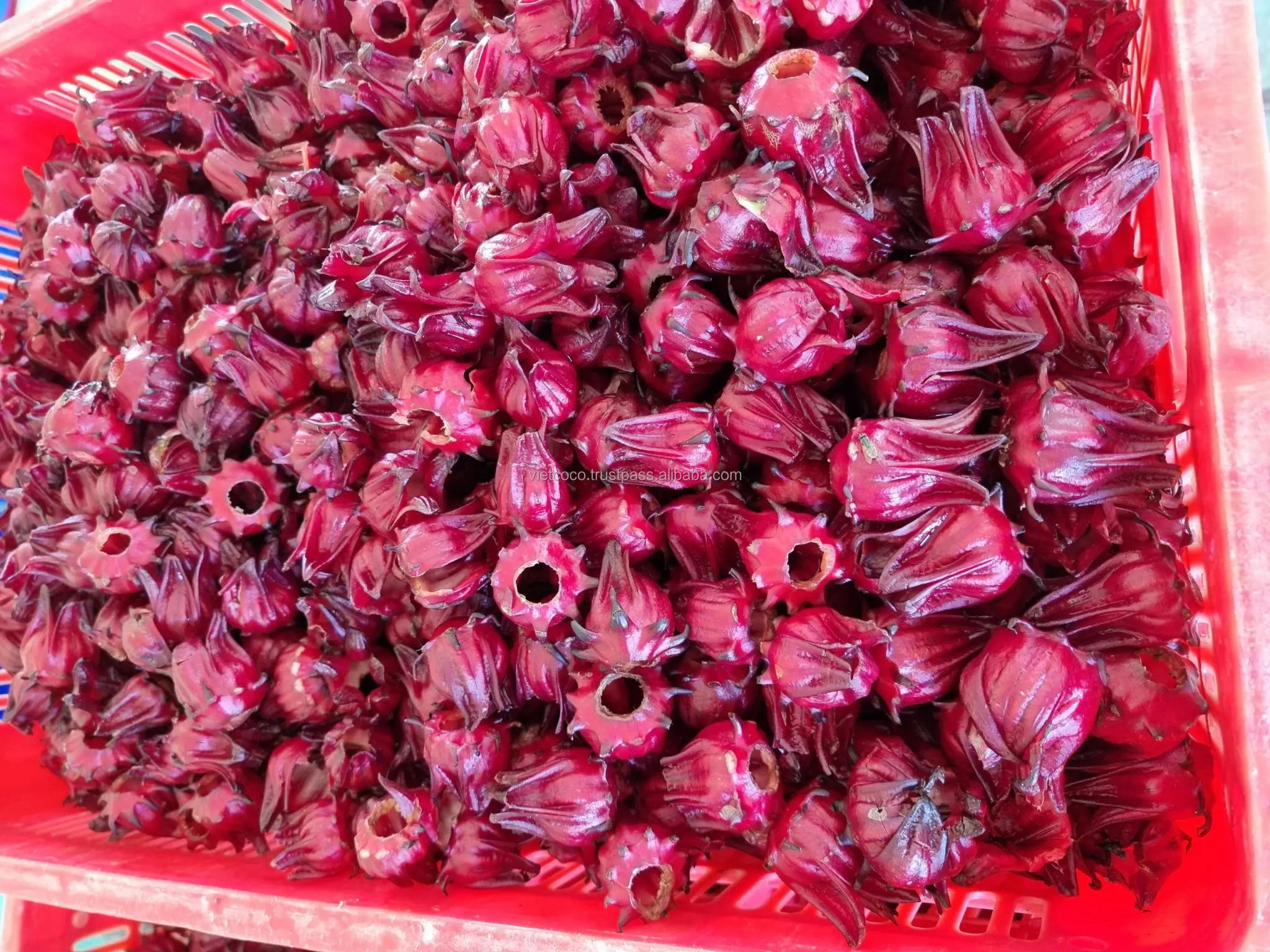 The Good Quality, Competitive Price, Healthy Snack Soft Dried Hibiscus Sabdariffa Tea Retail Bulk Design Packing