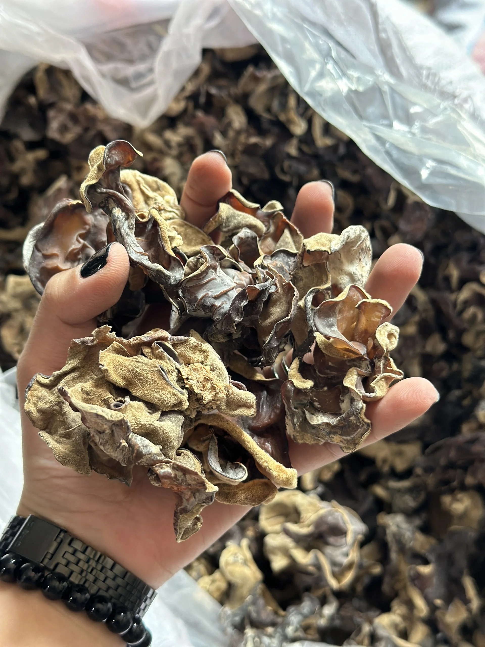 Wholesale OEM Bulk Packing Dried Kikurage Wood Ear Mushrooms for Soup Dried Black Fungus for Vegetarian
