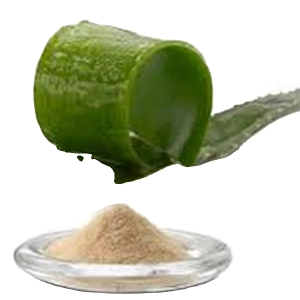 GMP ISO certified manufacturer Aloe Vera Extract Powder 100x Best Price India