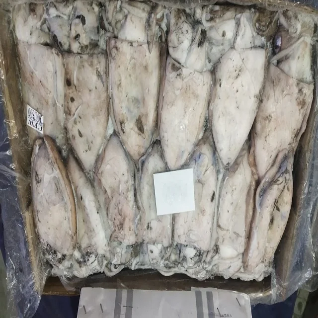 Высокое качество Замороженные каракатицы Фиш весь из Индии