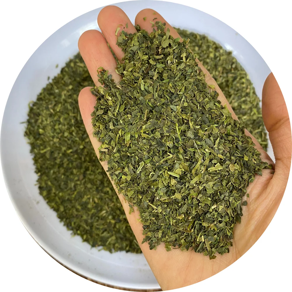Fresh and Healthy green weight loss green tea for making herbal and organic tea bags at wholesale price