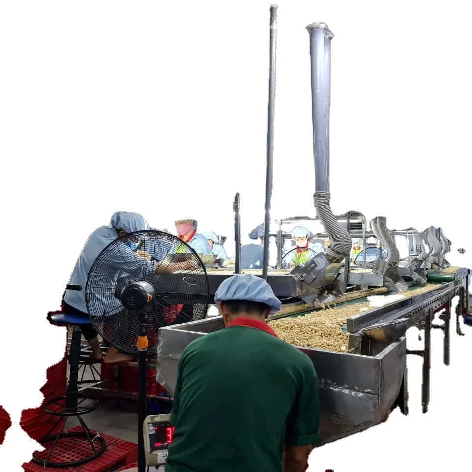 TOP QUALITY CASHEW NUT PEELING MACHINE 5 TONS PER DAY