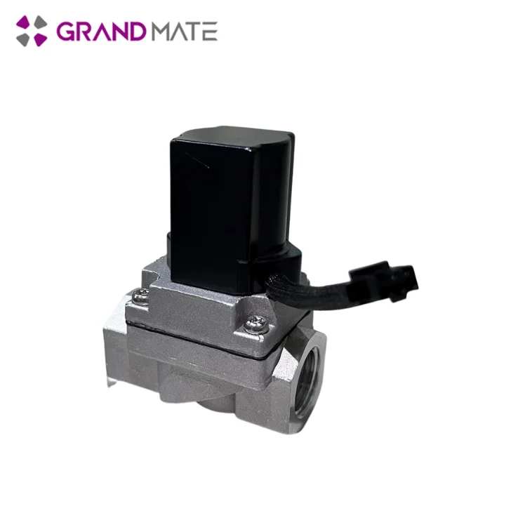 Handwheel Cylinder Aluminum Auto Gas Bypass Valve